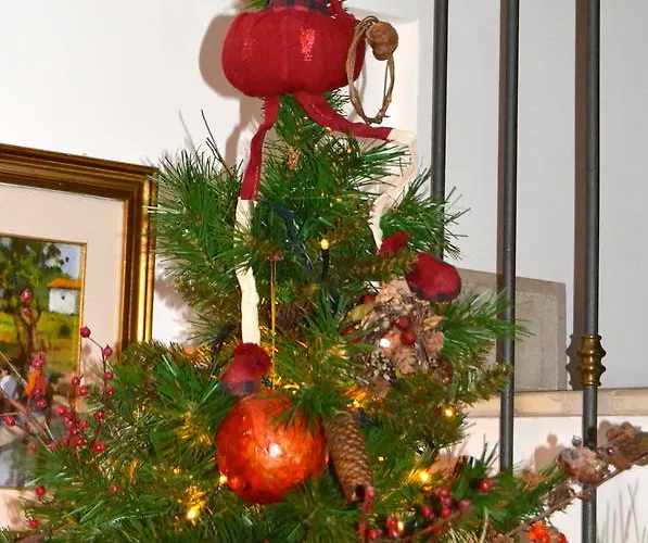 Bucaneve 3* Пескассероли