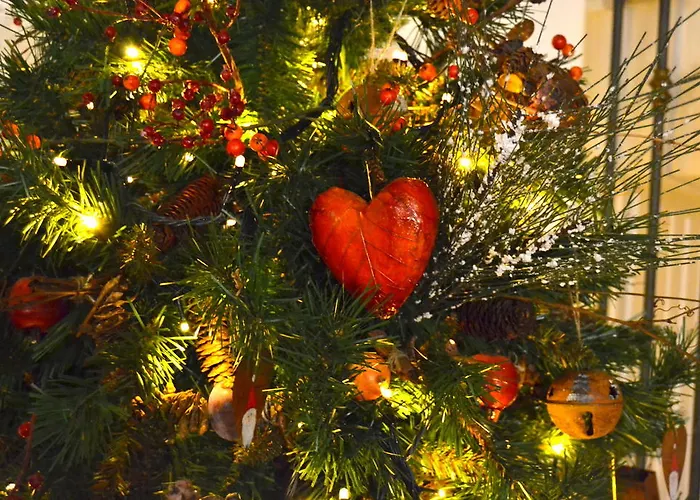 Отель Bucaneve 3*